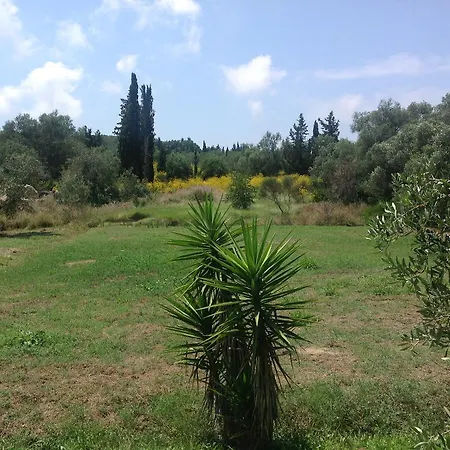 Yianetta & 3* 카보스