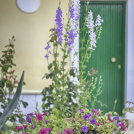 Yianetta & 아파트호텔 3*