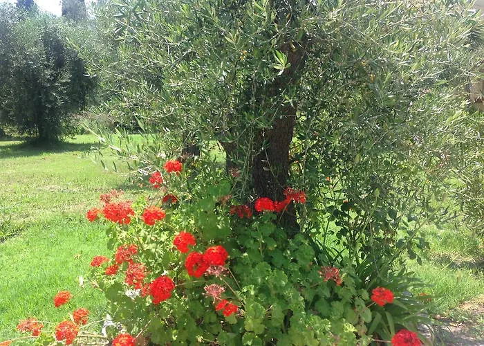 Yianetta & Aparthotel Kavos