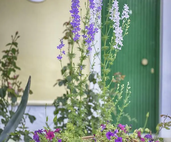 Yianetta & Aparthotel 3*