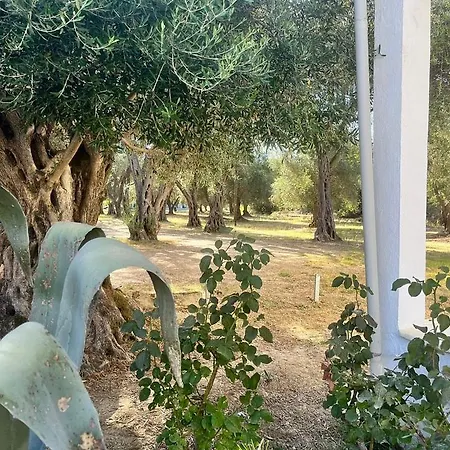 Yianetta & Ξενοδοχείο με διαμερίσματα 3*