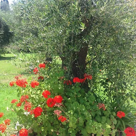 Yianetta & Ξενοδοχείο με διαμερίσματα Κάβος